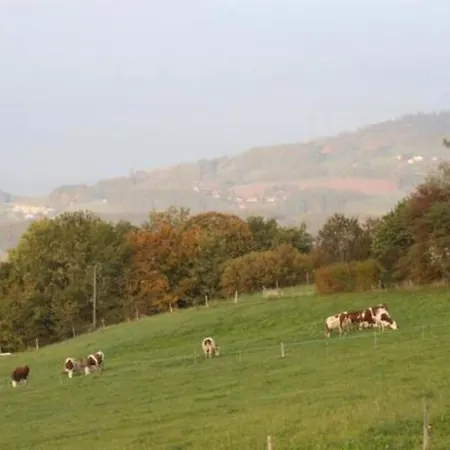 Apartman Im - 4 Pers- By Interhome Chardonne