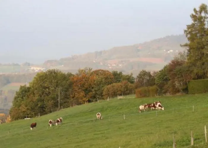 Apartman Im - 4 Pers- By Interhome Chardonne